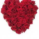 un_bouquet_de_fleurs_comme_cadeau_de_saint_valentin_un_coeur_de_roses1_diapo_main