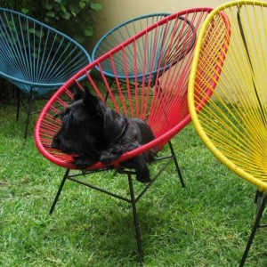 Fauteuil Acapulco par Sentou Fauteuil Acapulco par Sentou